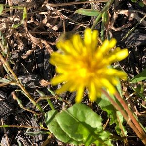 Meet your Posher, Aishat